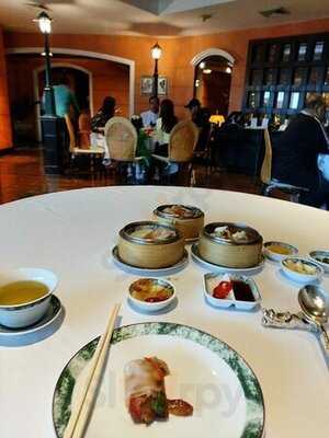 ไดนาสตี้