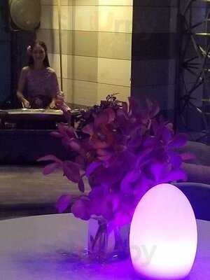 แพลทินัม โมเดิร์น ไทย