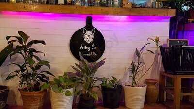 Alley Cat
