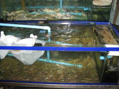 ร้านอาหาร เบียร์หิมะ