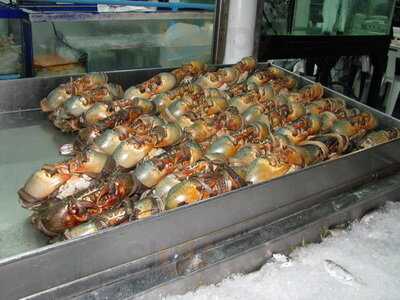 ร้านอาหาร เบียร์หิมะ