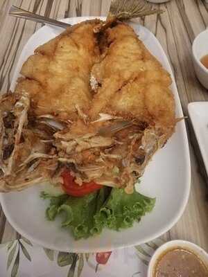 Have A Zeed- Mercury Ville Chitlom