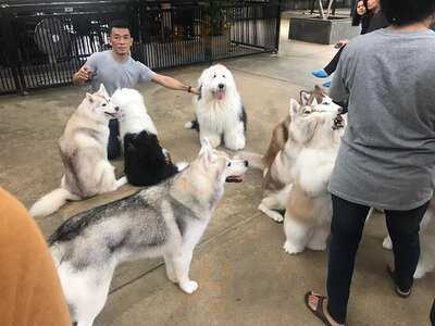 Truelove @ Neverland