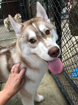 Truelove @ Neverland