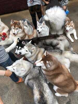 Truelove @ Neverland