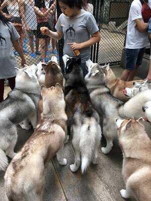 Truelove @ Neverland