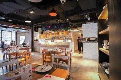 Rabbit In The Kitchen