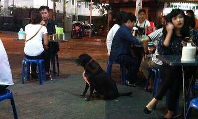 ร้านอาหาร โอชารส