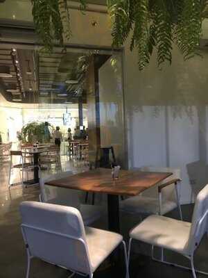 Abc Essence In Eatery