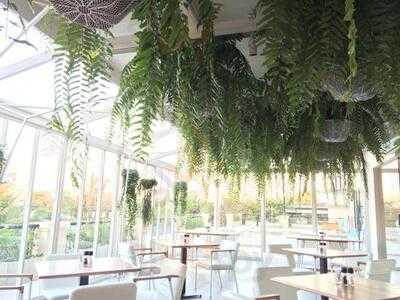 Abc Essence In Eatery