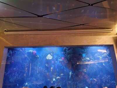 คอปเปอร์ เรสเตอรองท์ & บาร์