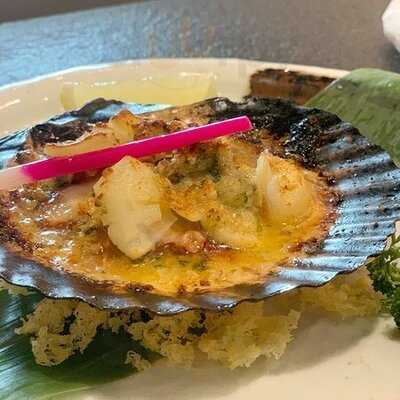 Zuru Japanese Delicious