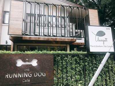 ปลากัด อาหารใต้