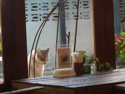 ชิโกะ อินเทอร์เรีย โปรดักส์ & คาเฟ่