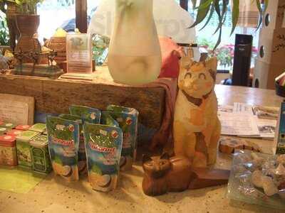 ชิโกะ อินเทอร์เรีย โปรดักส์ & คาเฟ่