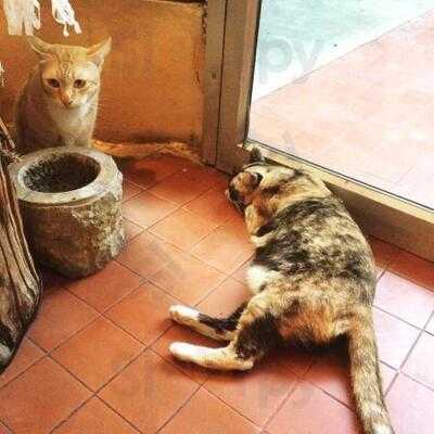 ชิโกะ อินเทอร์เรีย โปรดักส์ & คาเฟ่