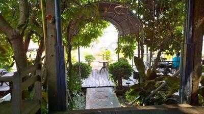 ร้านกาแฟ กับ ต้นไม้