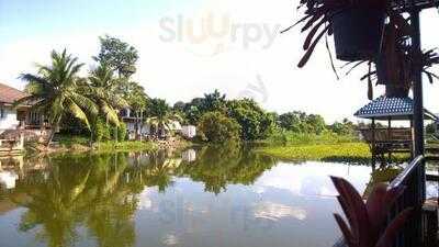 ร้านกาแฟ กับ ต้นไม้