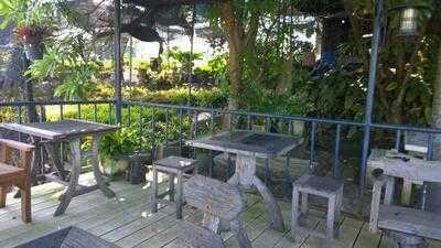 ร้านกาแฟ กับ ต้นไม้