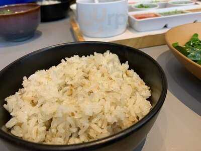 ไก่ฮาวด์ ข้าวมันไก่ออแกนิค