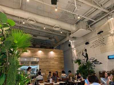 ไก่ฮาวด์ ข้าวมันไก่ออแกนิค