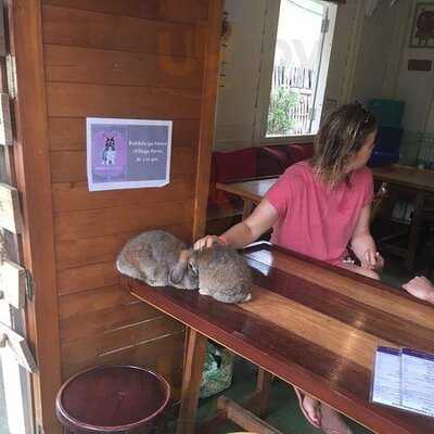 Rabbit Cafe
