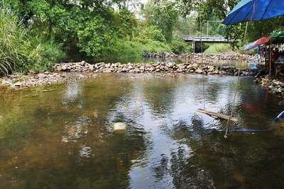 ครัวป่ามะขาม