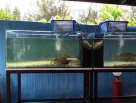 Eak Naithon Seafood