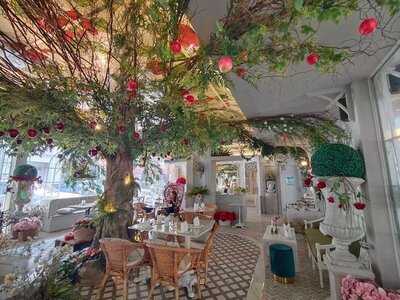 Organika House (sukhumvit Soi 49)