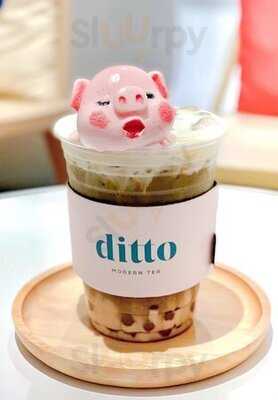 Ditto Modern Tea