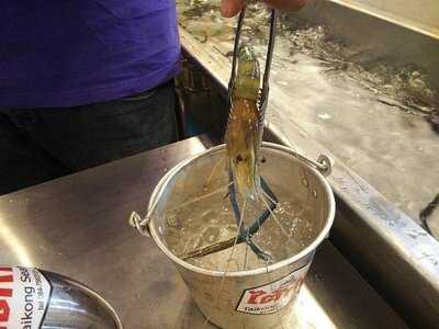 ไต้ก๋ง - รัชดา