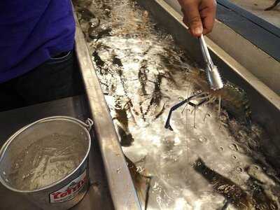 ไต้ก๋ง - รัชดา