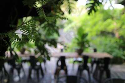 ไล-บรา-รี่ สาขา โครงการในป่า อาร์ท คอมเพลกส์