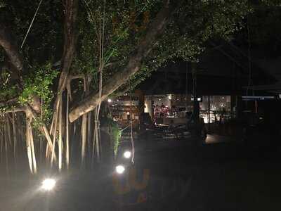 ไล-บรา-รี่ สาขา โครงการในป่า อาร์ท คอมเพลกส์