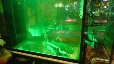 ฮันนี่ เฮ้าส์