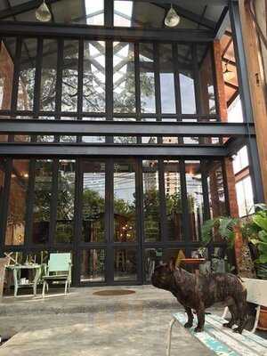 ปาร์คทูบาร์