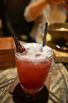 The Iron Fairies Dragonfly