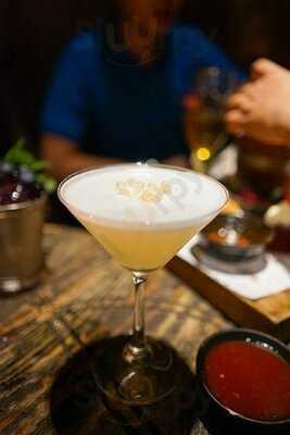 The Iron Fairies Dragonfly