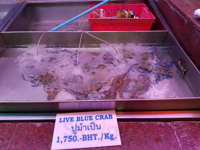 พัฒน์พงศ์ คลับ