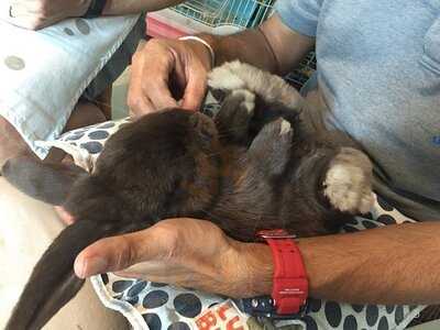 Lucky Bunny Cafe & Restaurant