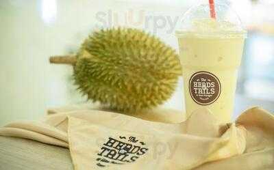 เฮดส์ ออร์ เทลส์