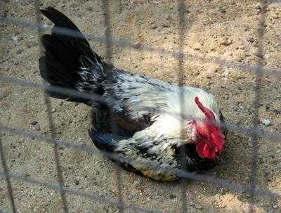 ร้านอาหาร รีแล็กซ์ริเวอร์ไซด์