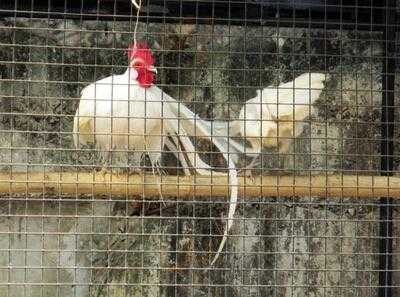 ร้านอาหาร รีแล็กซ์ริเวอร์ไซด์