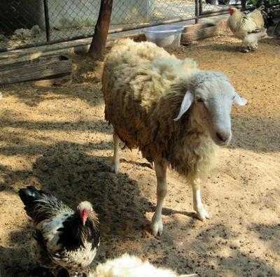 ร้านอาหาร รีแล็กซ์ริเวอร์ไซด์