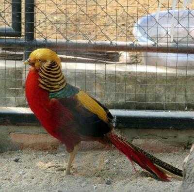 ร้านอาหาร รีแล็กซ์ริเวอร์ไซด์