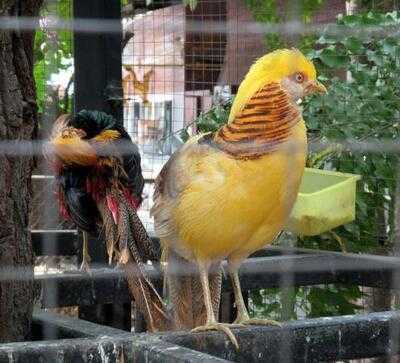 ร้านอาหาร รีแล็กซ์ริเวอร์ไซด์