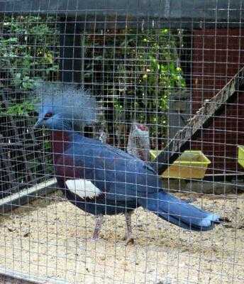 ร้านอาหาร รีแล็กซ์ริเวอร์ไซด์