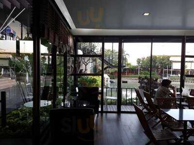 ทาโร่คิวบ์