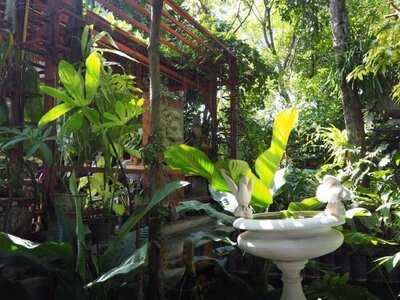 ไนน์ คาเฟ่