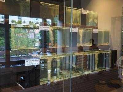 ยูมิชิ บางกอก